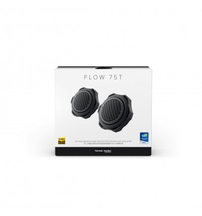 Harman Kardon FLOW75T